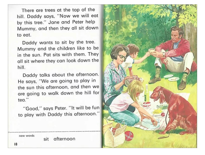 Ladybug Key Words Series (36 Books)