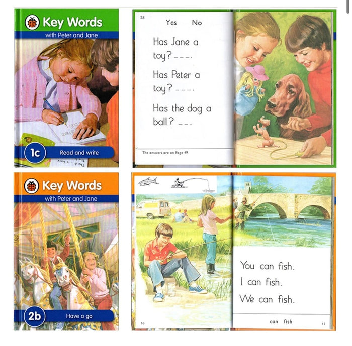 Ladybug Key Words Series (36 Books)