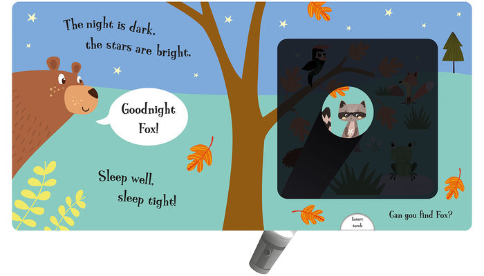 Magic Torch Goodnight Books