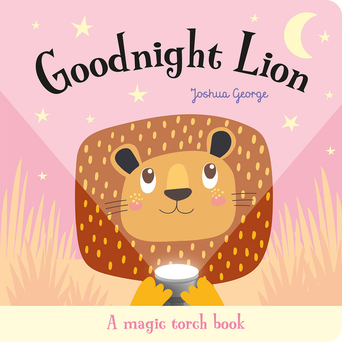 Magic Torch Goodnight Books