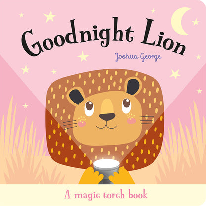 Magic Torch Goodnight Books